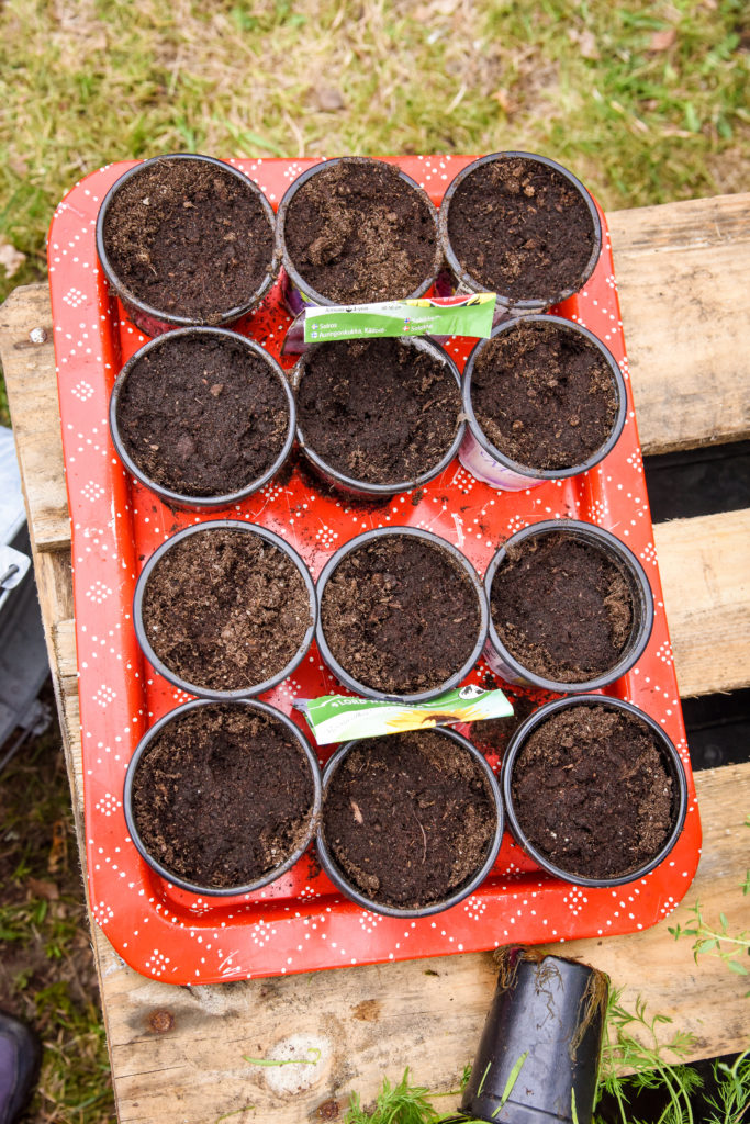 Foto av planting til boken Husmannspedagogikk. Foto og design av Storybold.