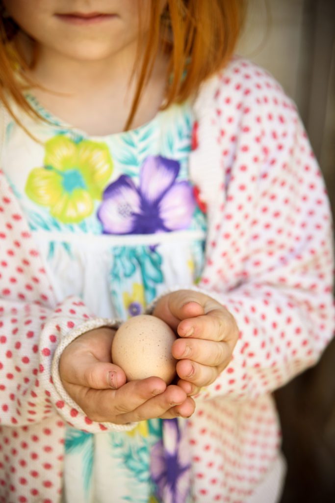 Foto av egg i barnehender til boken Husmannspedagogikk. Foto og design av Storybold.
