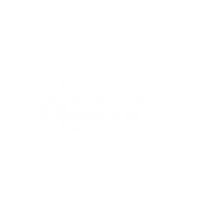 Logo kiropraktikk & helse. kampanjer, film, innhold, digital strategi, sosiale medier